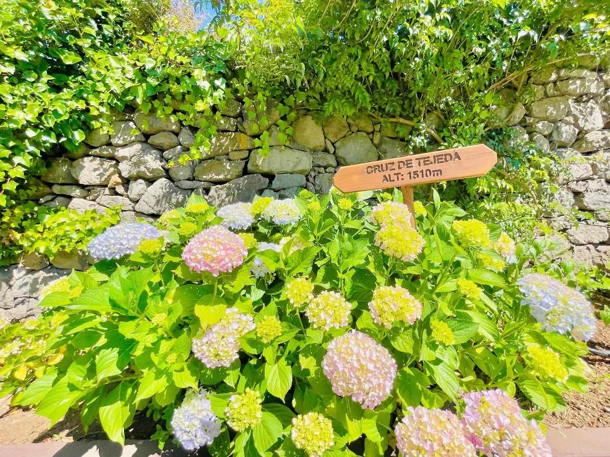 埃尔雷富吉乡村酒店 克鲁兹·德·特赫达 3*,